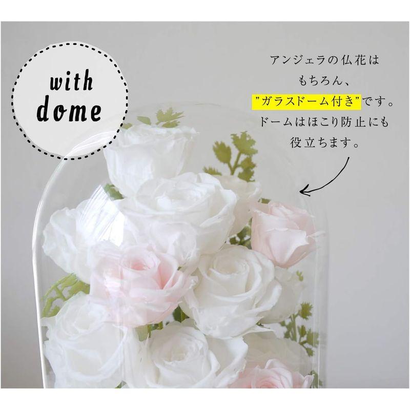 ドーム L ホワイト プリザーブドフラワー 仏花 ドーム 初盆 花 お供え物 プリザーフラワー仏花 供花 ガラスドーム 法事 仏壇用 仏具 ドーム ホワイト プリザーブドフラワー 仏花 初盆 花 お供え物 プリザーフラワー仏花 供花 ガラスドーム 法事 仏壇用 仏具 　