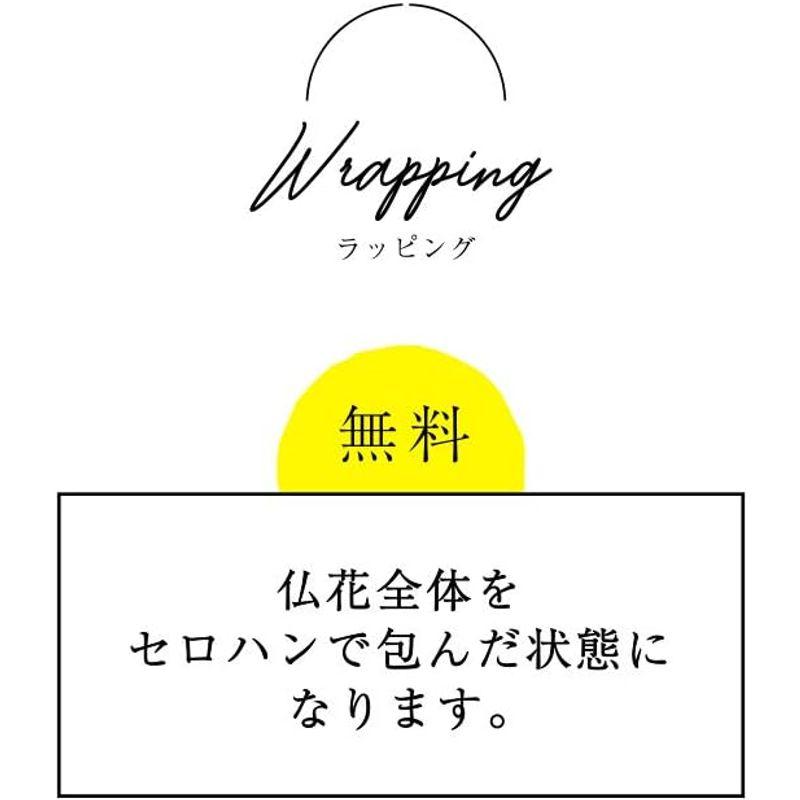 ドーム L ホワイト プリザーブドフラワー 仏花 ドーム 初盆 花 お供え物 プリザーフラワー仏花 供花 ガラスドーム 法事 仏壇用 仏具 ドーム ホワイト プリザーブドフラワー 仏花 初盆 花 お供え物 プリザーフラワー仏花 供花 ガラスドーム 法事 仏壇用 仏具 　