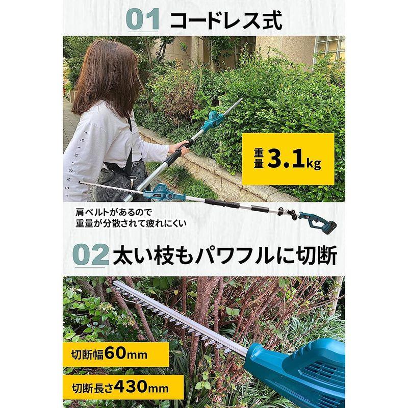 TOOLS LIFE 充電式高枝ヘッドトリマー 20V コードレス高枝