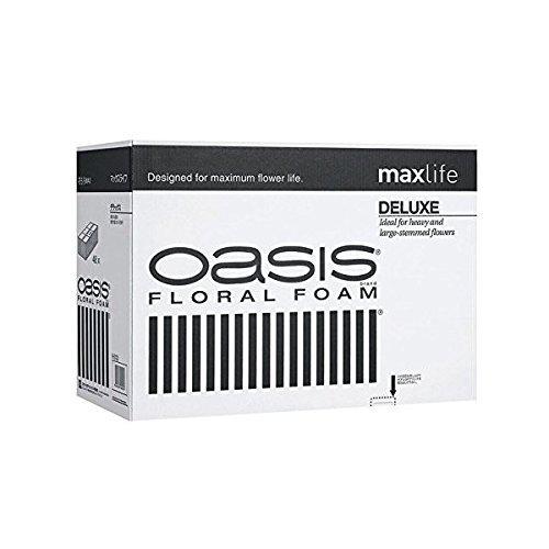 代引不可 Timenote オアシス フローラルフォーム Maxlife K 01 デラックス 硬めタイプ 48個入り 人気絶頂 Technet 21 Org