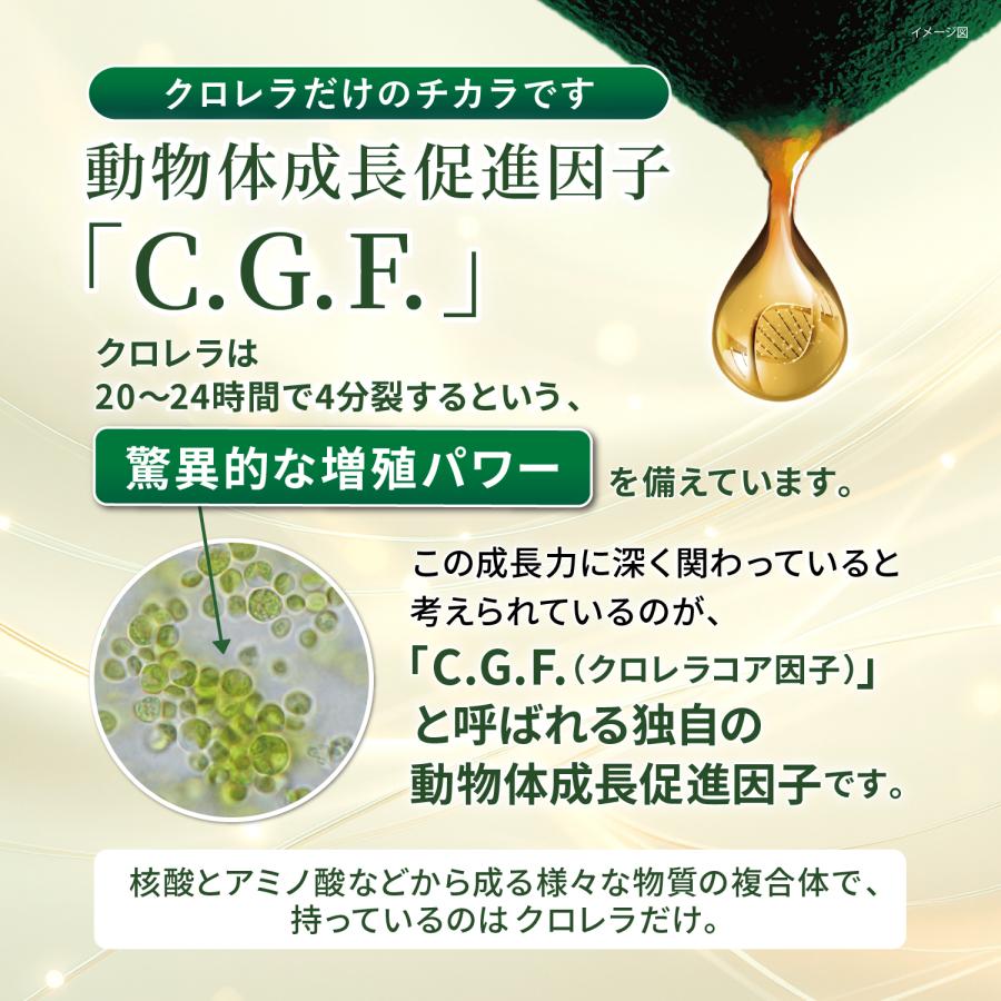サンクロレラ クロレラ たんぱく質 食物繊維 サプリメント サン