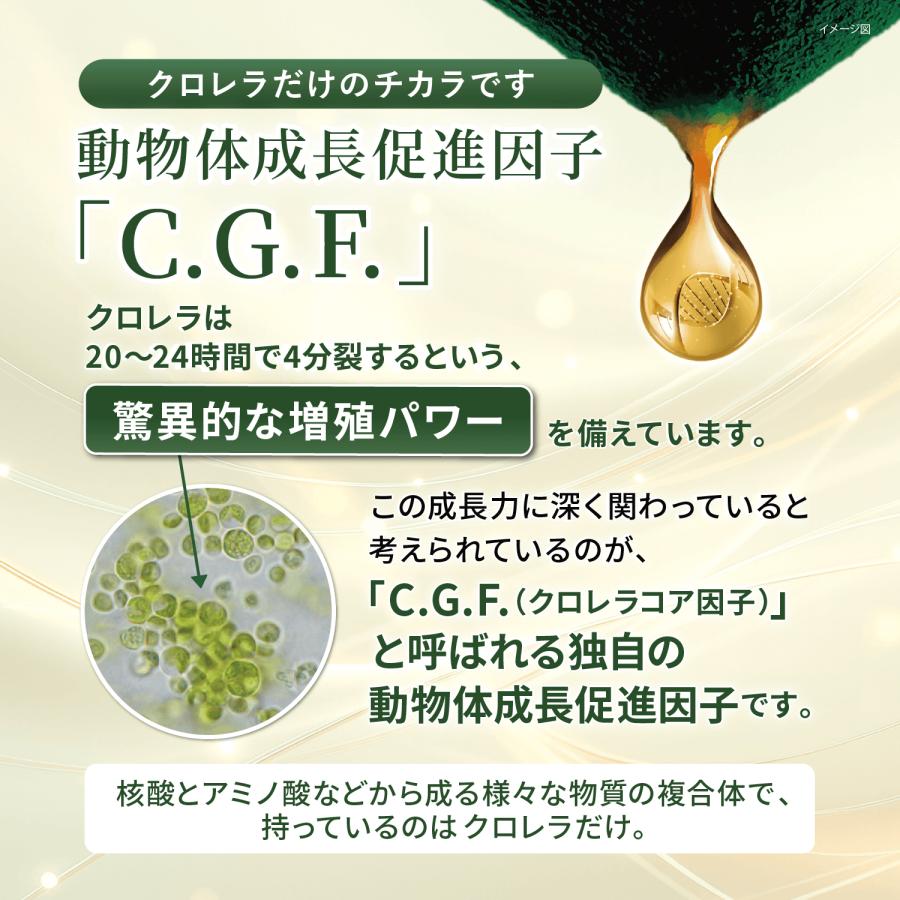 サンクロレラ クロレラ クロロフィル サプリメント 藻活 健康食品 サン