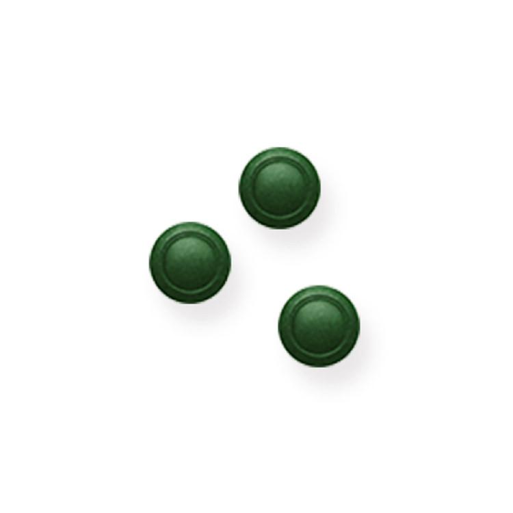 クロレラ クロロフィル サプリメント 藻活 健康食品 サンクロレラA 6000粒 (1500粒×4箱) お得用 まとめ買い タンパク質 野菜不足 ビタミン 健康食品 公式 | サンクロレラ | 18