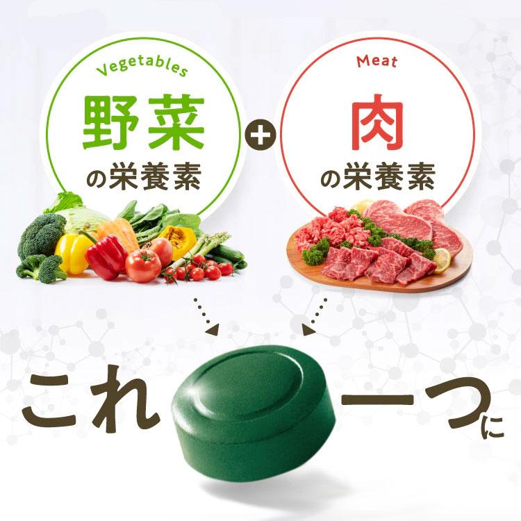 クロレラ クロロフィル サプリメント 藻活 健康食品 サンクロレラA 6000粒 (1500粒×4箱) お得用 まとめ買い タンパク質 野菜不足 ビタミン 健康食品 公式 | サンクロレラ | 03