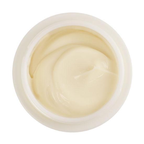 スキンケア 藻活 クリーム ハンドクリーム Sun CGF Cream 1個 (45g) 公式 保湿 クロレラエキス プレゼント ギフト 爆買 | サンクロレラ | 04