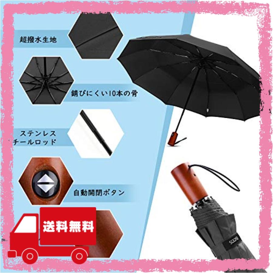 これら 気球 書誌 折りたたみ傘 アシスト構造 Djlcforum Com