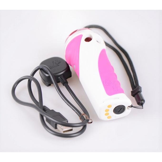 Light & Motion GoBE 500 SPOT 充電式LED水中ライト ダイビングライト