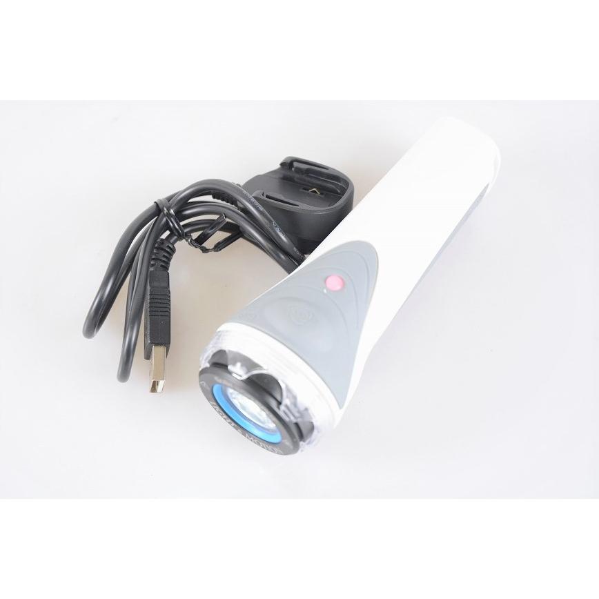 Light & Motion GoBE 500 SPOT 充電式LED水中ライト ダイビングライト 