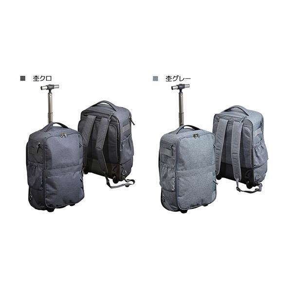 Spasso（スパッソ） 旧商品 リュック キャリーバッグ セパレーター