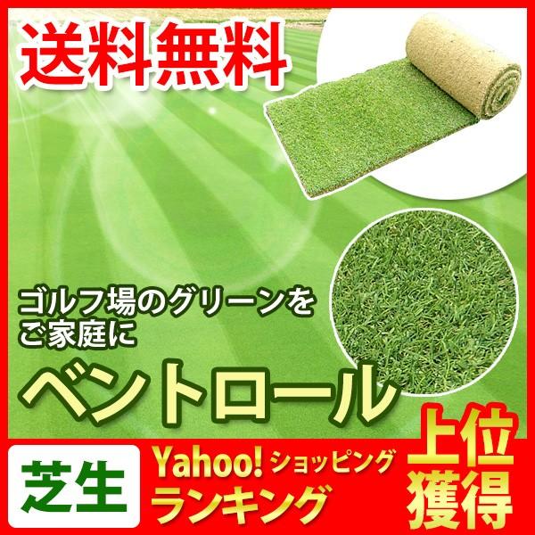 芝生 天然芝 ベント芝 ロール巻芝 通販