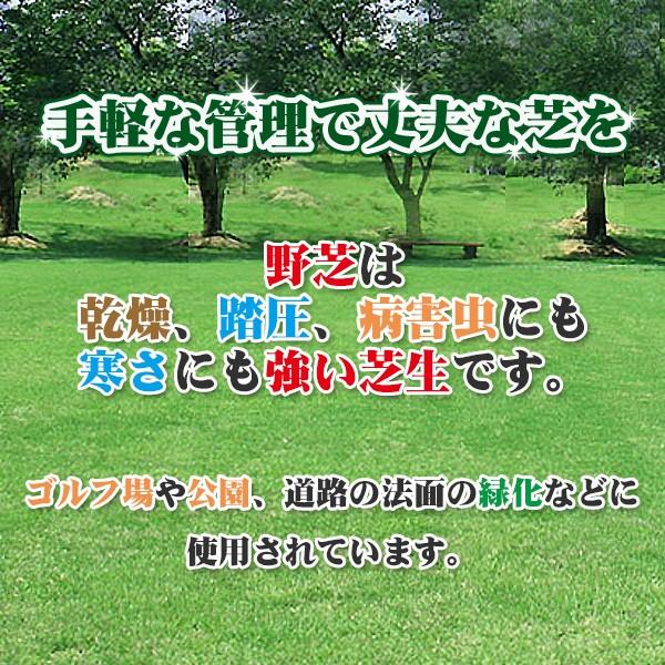 芝生 天然芝 野芝(ノシバ) ロール巻 (芝生 通販)｜sun-wa｜04