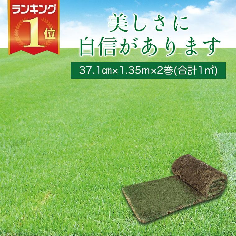 芝生 天然芝 姫高麗芝 ヒメコウライ芝 ロール巻芝 芝生 通販 サンワショッピング 通販 Paypayモール