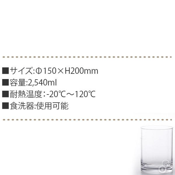 旧商品 ポリカーボネート ボウル XZY エグジー サラダボウル 150L 2,540ml 割れない 安全 食洗器OK 食器 キッチン バーベキュー BBQ おしゃれ 13760｜sun-wa｜05