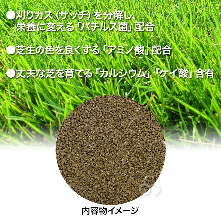 芝生 肥料 芝生の肥料 500g 4905832341184｜sun-wa｜05