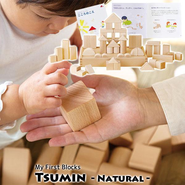木製　積み木 エド・インター（Ed・Inter） 旧商品 ジェニ 積み木 My First Blocks