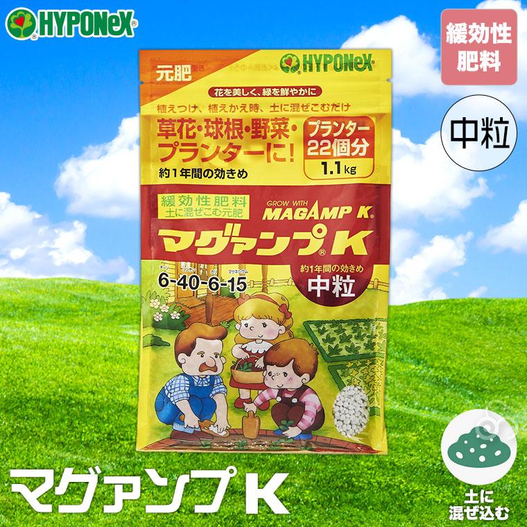 ハイポネックス マグァンプK 中粒 1.1kg 4977517012955 : サンワ ハイポネックス マグァンプK 中粒 1.1kg 4977517012955 : サンワ