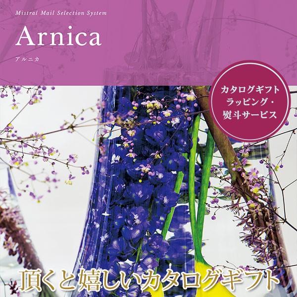 カタログギフト アルニカ ミストラル 501M059 (お歳暮 お中元