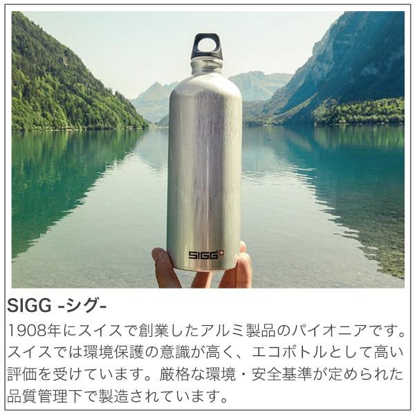 SIGG（シグ） 2層構造 真空マグボトル メリディアン 500ml 水筒