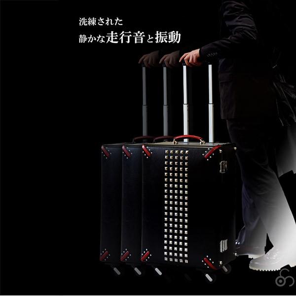 HOKUTAN（ホクタン） 旧商品 (P10倍)ホクタン STUDS スタッズ