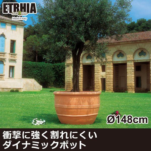 旧商品 ユーロスリープラスト エトリア ウリバム148 ER-2121