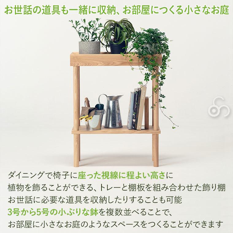 cosine（コサイン） (プレゼント付) プラントシェルフ GP-07CT 旭川