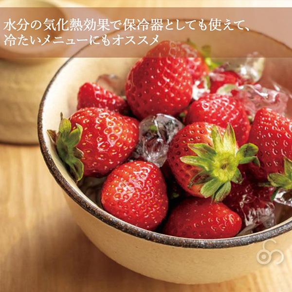 長谷園 おひつ 電子レンジ対応 陶珍 おひつ碗 AIC-25 伊賀焼 : サンワ