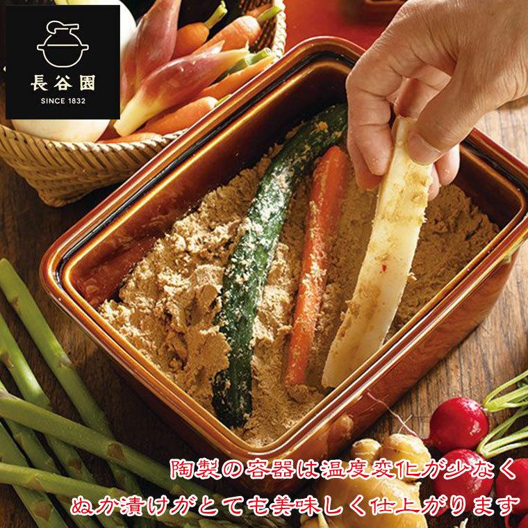 長谷園 つけもの名人 アメ 長角型 AIC-28 : サンワショッピング - 通販