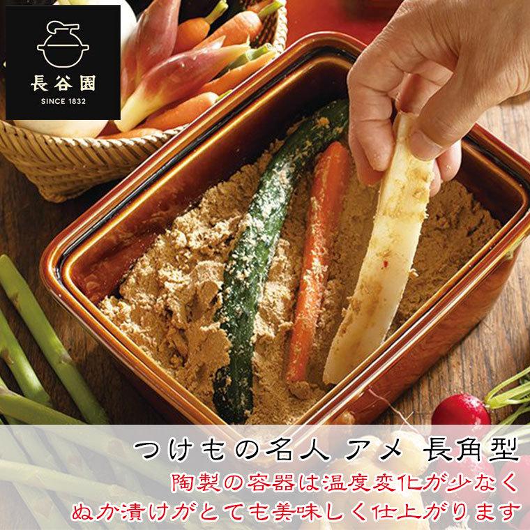 長谷園 つけもの名人 アメ 長角型 AIC-28 : サンワショッピング - 通販