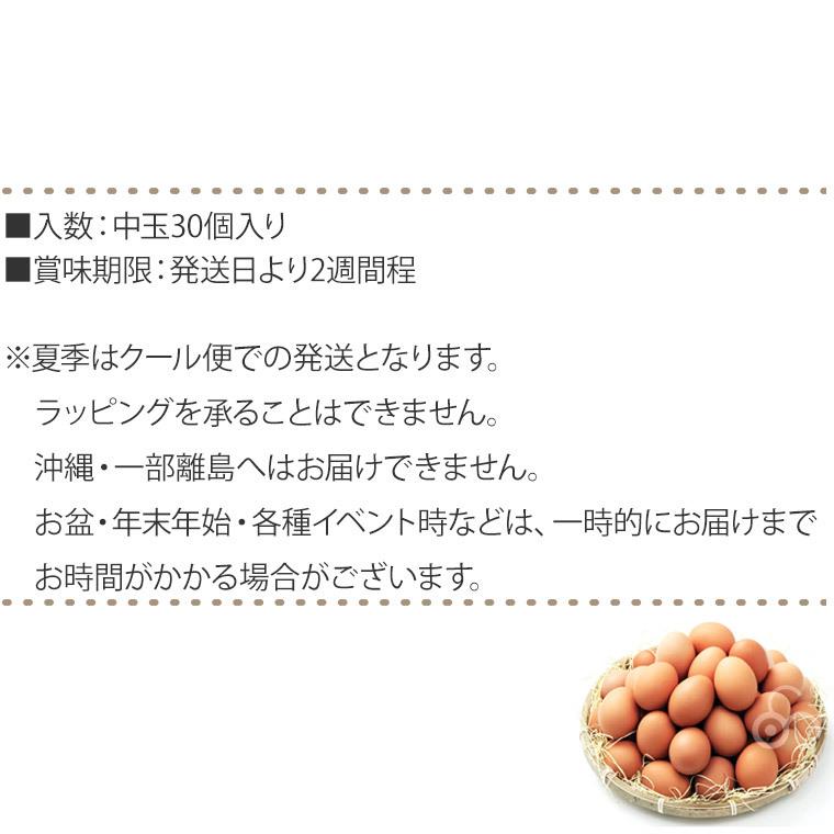 (クール便) 卵 産直 実用赤玉中 30個入り 岩田養鶏場 岩田のおいしい卵 榛名 榛東村 送料無料｜sun-wa｜12