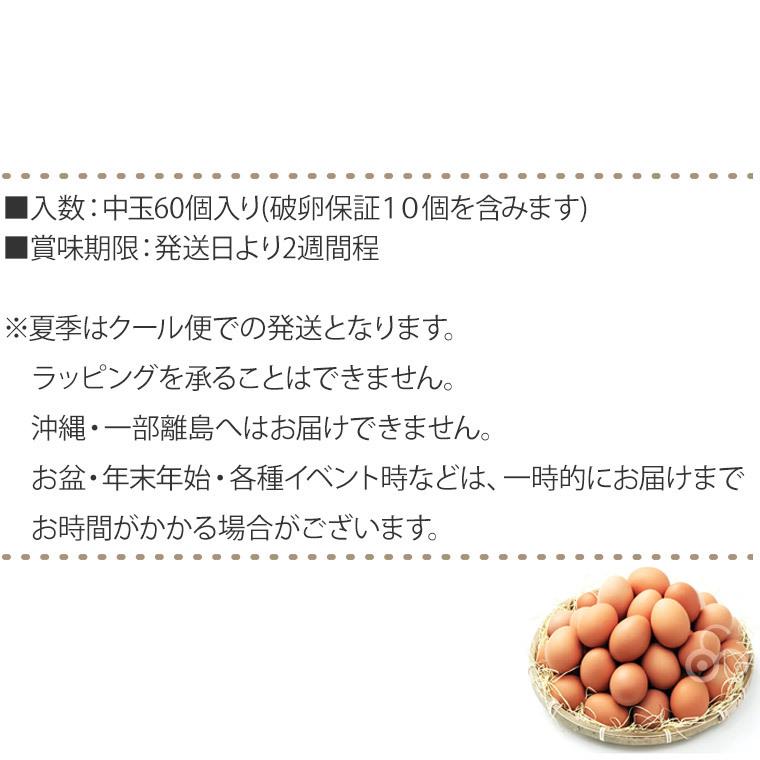 (クール便) 卵 産直 実用赤玉中 60個入り 破卵保証10個含む 岩田養鶏場 岩田のおいしい卵 榛名 榛東村 業務用 送料無料｜sun-wa｜12