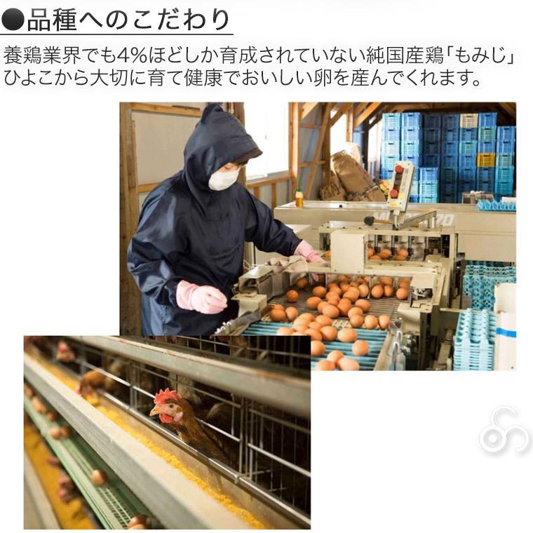 (クール便) 卵 産直 実用赤玉中 60個入り 破卵保証10個含む 岩田養鶏場 岩田のおいしい卵 榛名 榛東村 業務用 送料無料｜sun-wa｜08