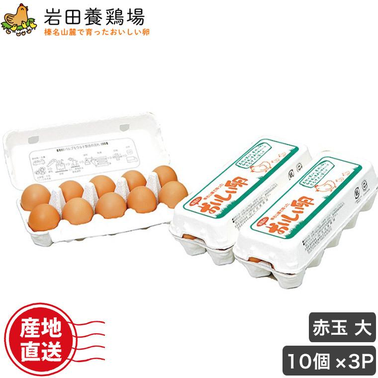 鶏心果 3kg クール便発送 クール便) 卵 産直 厳選赤玉大 30個入り(10個×3パック) 岩田養鶏場