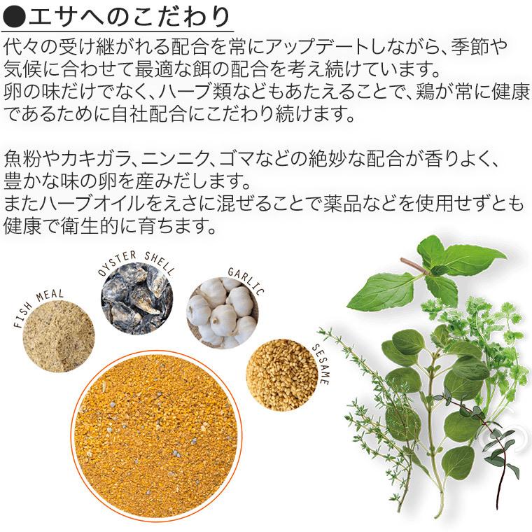 21新作モデル 卵 産直 厳選赤玉大 30個入り 10個 3パック 岩田養鶏場 岩田のおいしい卵 榛名 榛東村 送料無料 Broadcastrf Com