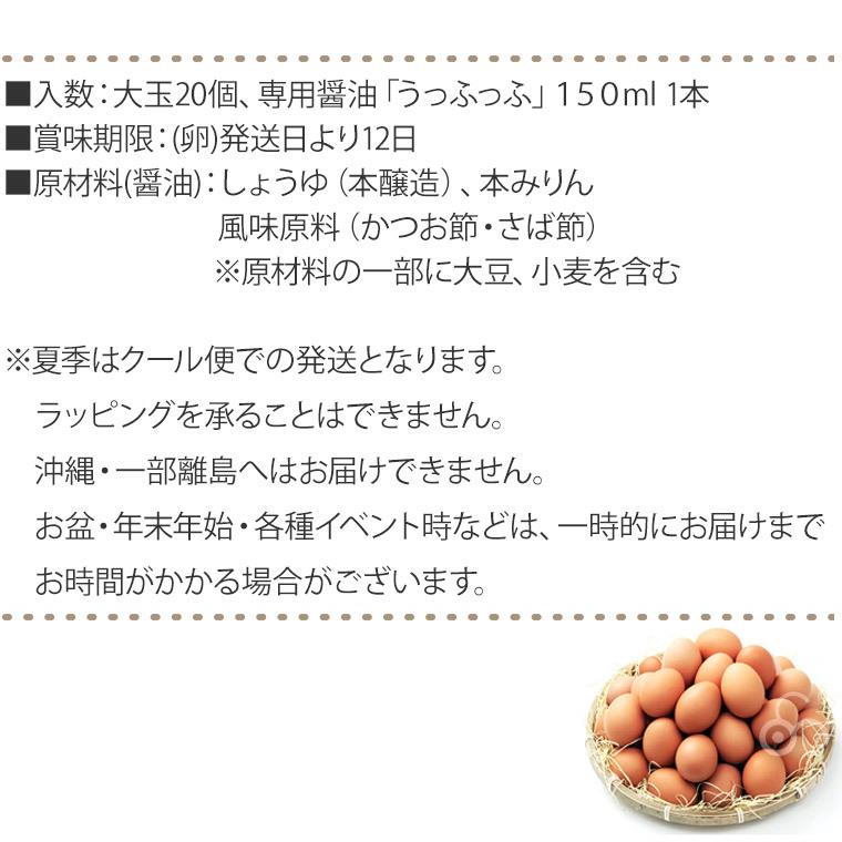 (クール便) 卵 産直 厳選赤玉大 20個入り(10個2パック) 卵かけこだわりセット TKG 卵かけご飯 岩田養鶏場 岩田のおいしい卵 榛名 榛東村 送料無料｜sun-wa｜13