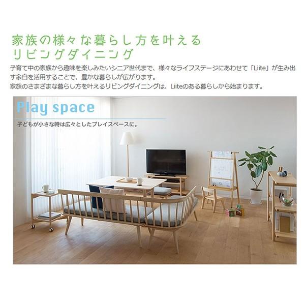 cosine（コサイン） (数量限定特価) スポークチェア Liite ベンチ 