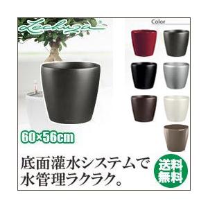 LECHUZA プランター クラシコ60 LE-1060W-1 LECHUZA 底面給水 底面灌水 鉢