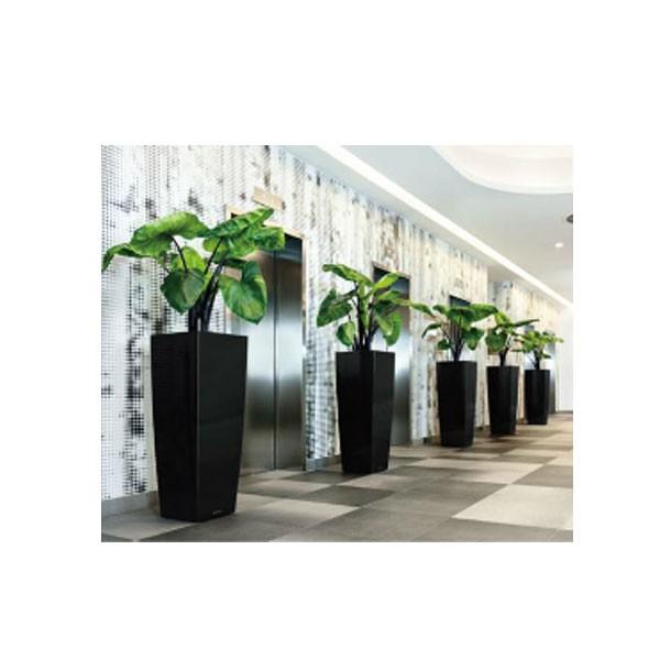 レチューザキュービコ40 黒