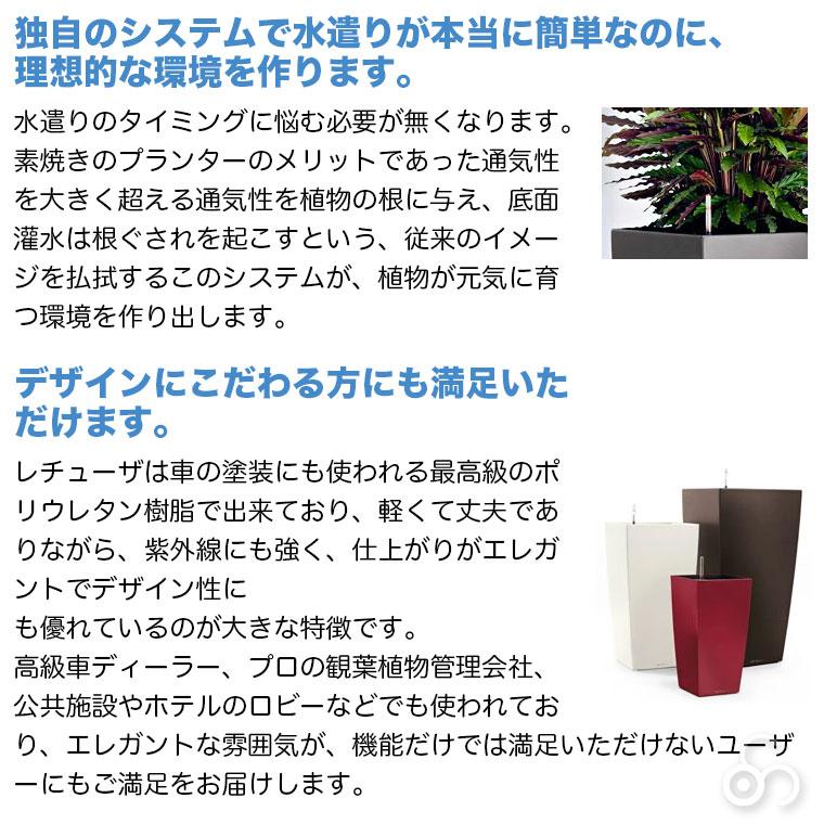 レチューザ 底面給水機能付きプランター MAXI-CUBI LECHUZAレチューザ』マックスキュービ｜底面給水鉢