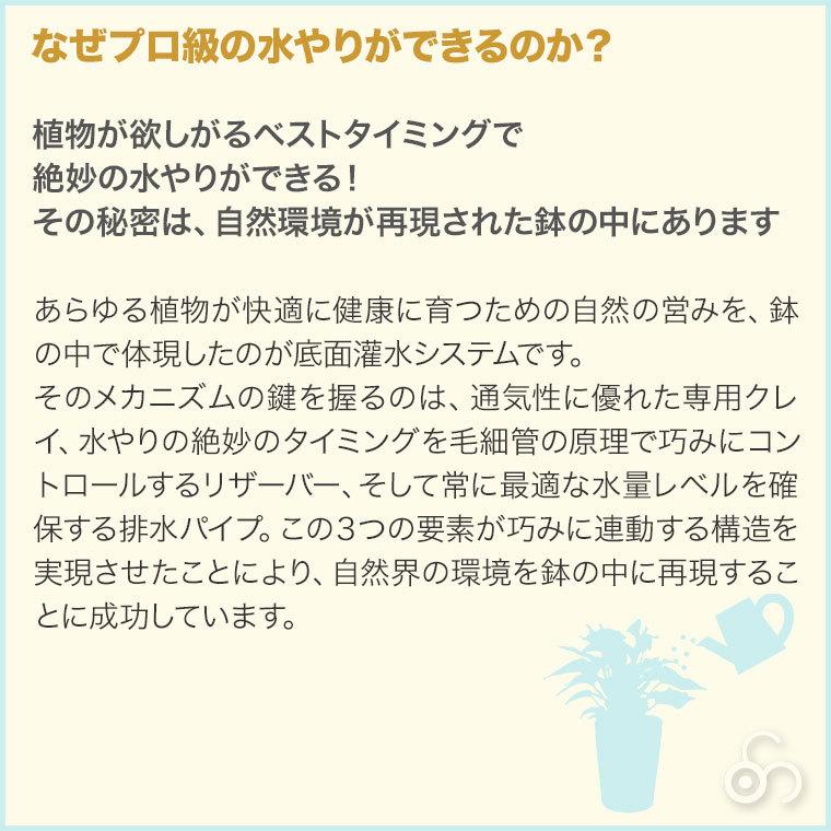 プランター レチューザ ラウンド60 LE-7060 LECHUZA 底面給水 底面灌水 鉢の画像