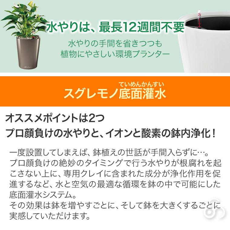 プランター レチューザ バルコネラ・ストーン 80 LE-7280 LECHUZA 底面