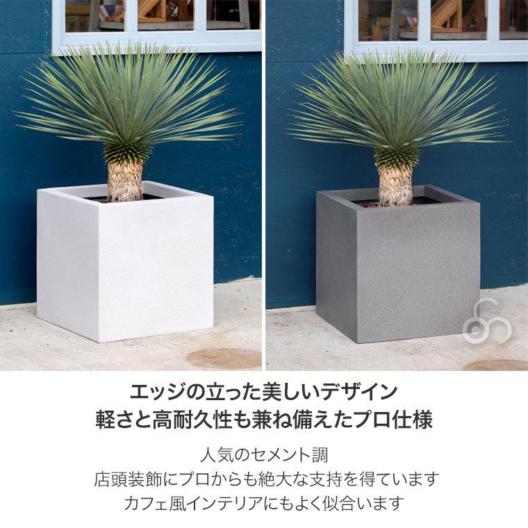 大型植木鉢 45×45×45 新品 リーベン 【☆ご購入特典あり】プランター 植木鉢 大型 幅45×奥行45×高