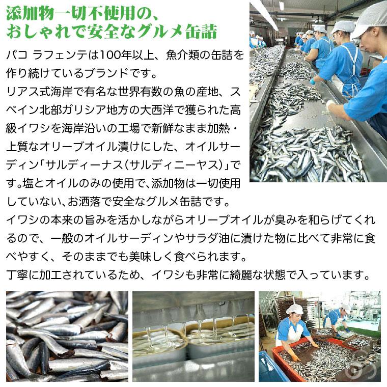 オイルサーディン(サルディーナス) 中サイズ 3から5ピース : サンワ