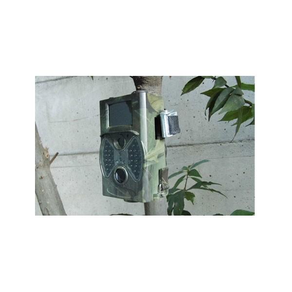 SIGHTRON（サイトロン） 旧商品 赤外線無人撮影カメラ トレイルカメラ
