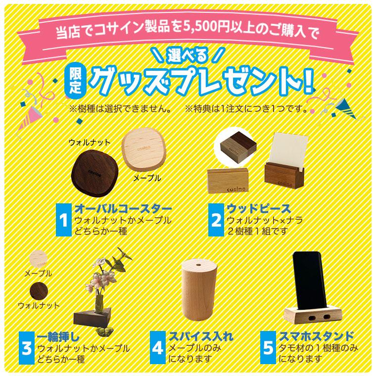 cosine（コサイン） (プレゼント付) レイニーラック ウォルナット US