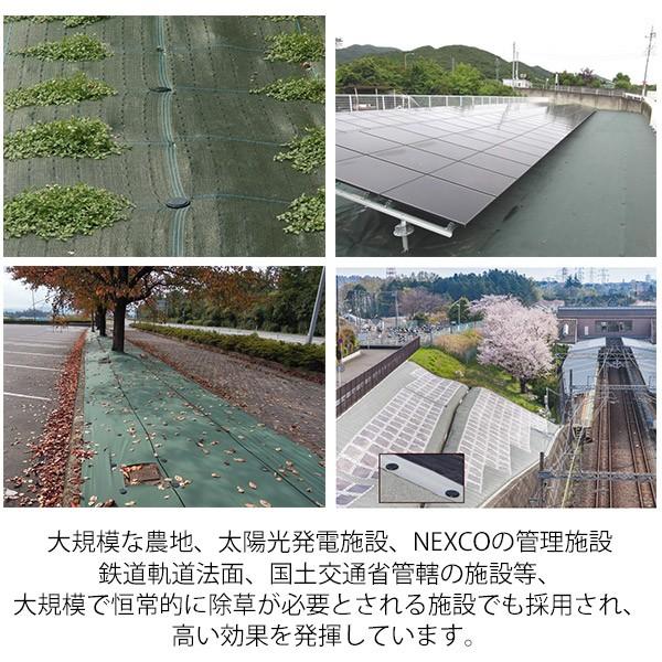 防草シート ピン 抜けにくい アンカー 固定ピン ジグザグプラ杭 250mm