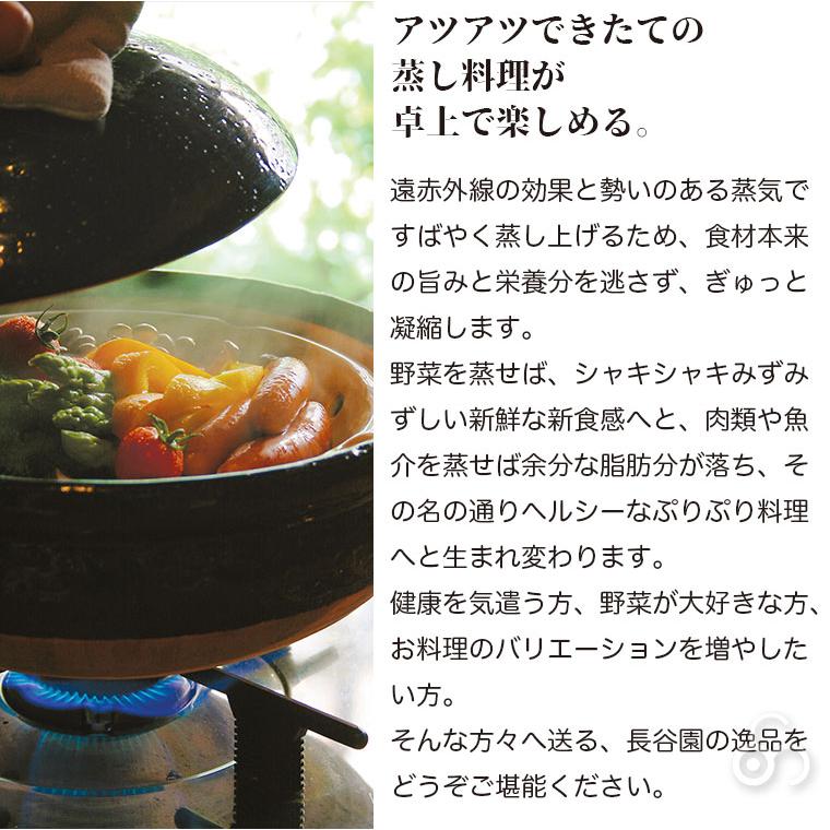 長谷園 蒸し料理用土鍋 伊賀焼 ヘルシー蒸し鍋 黒 中 AZW-22 長谷園 蒸し料理用土鍋 伊賀焼 ヘルシー蒸し鍋 黒 中 AZW-22