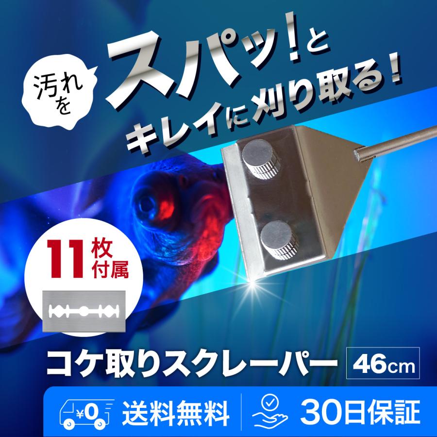 コケ取り スクレーパー プロレイザー 水槽 掃除 苔 汚れ アクアリウム 水草 掃除 クリーナー 替刃11枚 | 