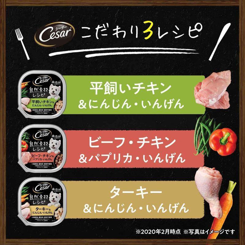 シーザー ドッグフード 自然素材レシピ 平飼いチキン&にんじん・いんげん 85g×112個 (ケース販売) ドッグフード 自然素材レシピ 平飼いチキン&にんじん いんげん 85g×112個 ケース販売
