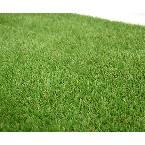 お歳暮 天然芝にそっくり リアル人工芝 高麗芝 35mm 幅1m 長さ10m Gtf 3510 A B00cy39xfy 0909 太陽4号ヤフー店 通販 Yahoo ショッピング 信頼 Www Iccostierovico Edu It