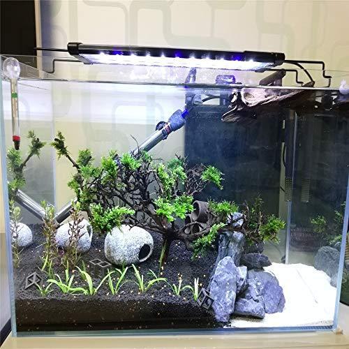 神秘海洋 水槽用アクセサリー アクアリウム装飾 エビ土管 内装 置き物 陶器製 A B0w3dldm 太陽4号ヤフー店 通販 Yahoo ショッピング